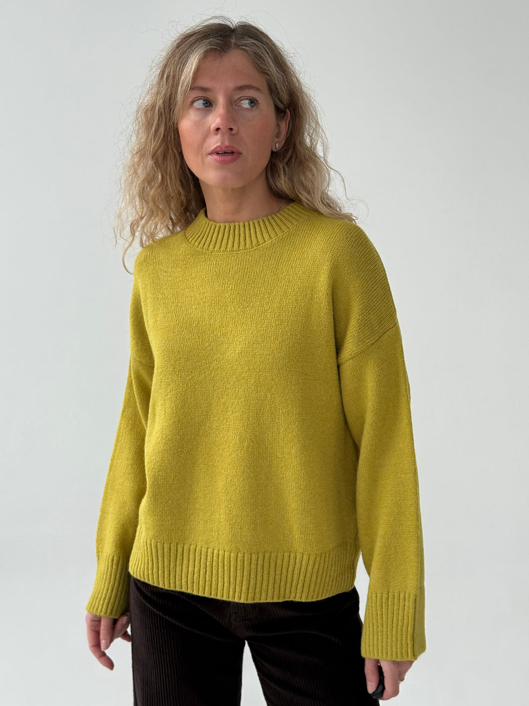 Adīts džemperis ar apaļu kakla izgriezumu #02